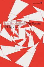 The System Of Objects