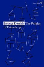 The Politics Of Friendship