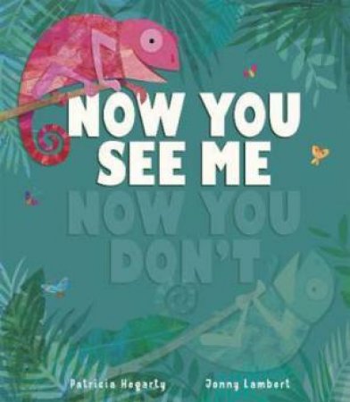 Now You See Me, Now You Don’t by Patricia Hegarty & Jonny Lambert