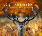 Richmond Park Londons Wildlife Haven