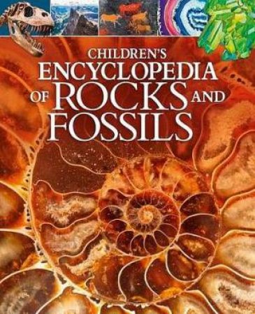 Children’s Encyclopedia Of Rocks And Fossils