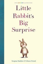 Little Rabbits Big Surprise