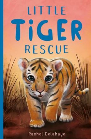 Little Tiger Rescue by Rachel Delahaye