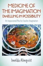 Medicine Of The Imagination Dwelling In Possibility