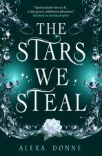 The Stars We Steal