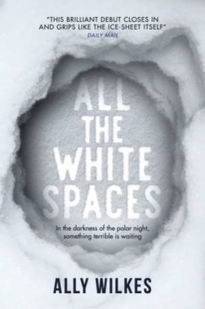 All The White Spaces by Ally Wilkes