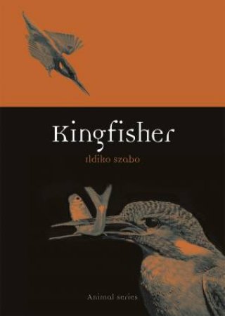 Kingfisher by Ildiko Szabo
