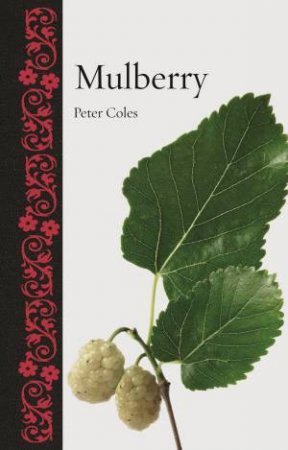 Mulberry by Peter Coles