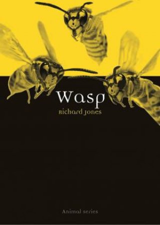Wasp by Richard Jones