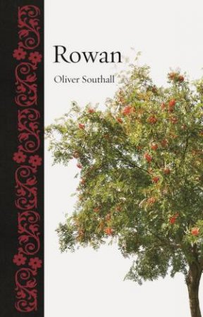 Rowan by Oliver Southall