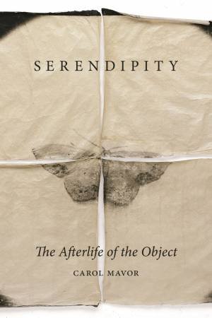 Serendipity by Carol Mavor