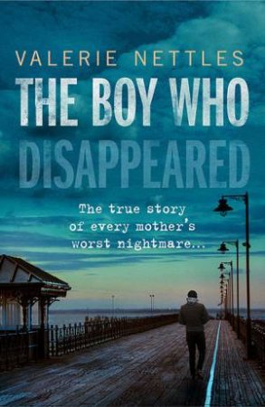 The Boy Who Disappeared by Valerie Nettles