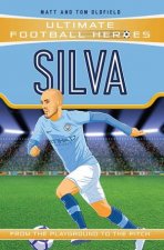 Football Heroes Silva