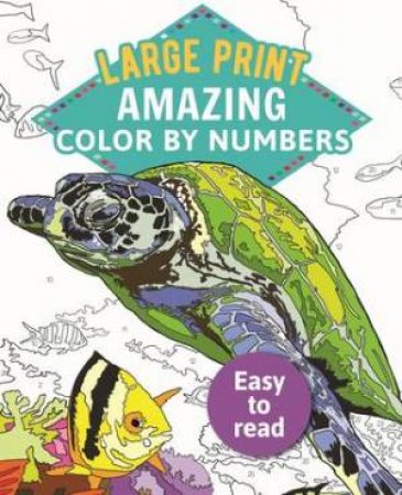 Amazing Color-By-Numbers Large Print by Various