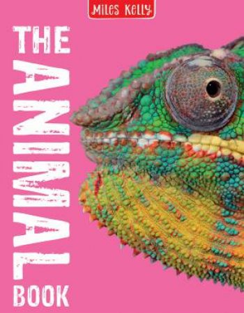 The Animal Book by Various