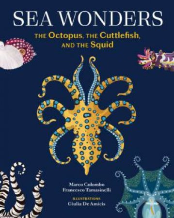 Sea Wonders by Marco Colombo & Francesco Tomasinelli & Giulia De Amicis & Craig Foster