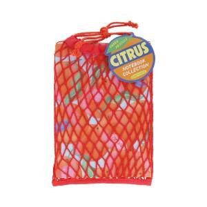Paper Produce Citrus Notebook Collection by Chronicle Books