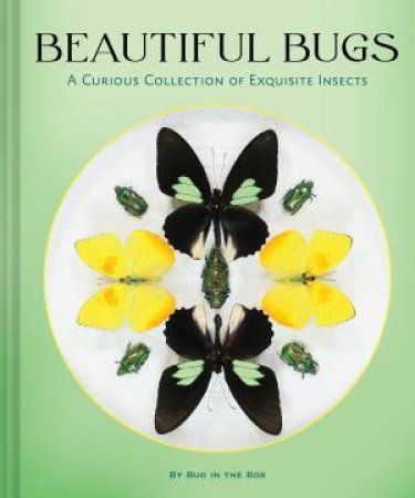 Beautiful Bugs by Bug In The Box