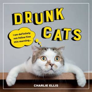 Drunk Cats by Charlie Ellis