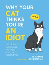 Why Your Cat Thinks Youre an Idiot