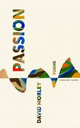 Passion by David Morley