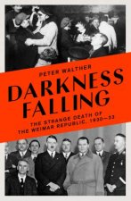 Darkness Falling The Strange Death Of The Weimar Republic 193033