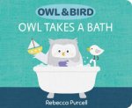 Owl  Bird Owl Takes a Bath