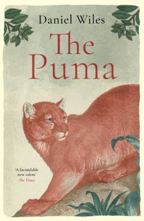 The Puma by Daniel Wiles