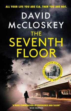 The Seventh Floor by David McCloskey