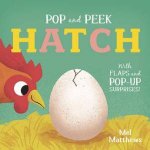 Pop And Peek Hatch