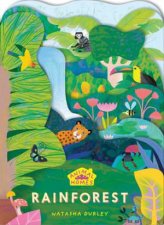 Rainforest Animal Homes