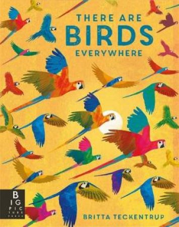 There are Birds Everywhere by Britta Teckentrup & Camilla de la Bedoyere