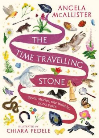 The Time Travelling Stone by Angela McAllister