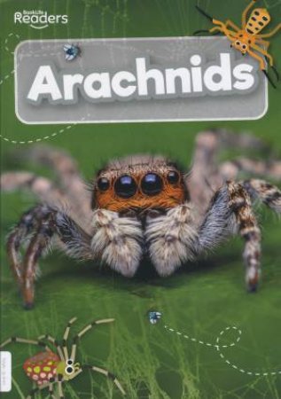 Arachnids by Joanna Brundle
