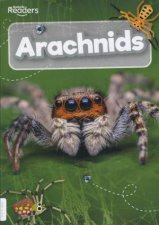 Arachnids