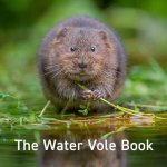 Water Vole Book