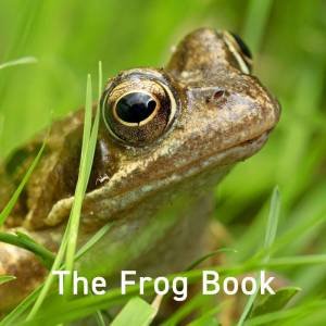 Frog Book by JO BYRNE