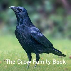 Crow Family Book by JANE RUSS