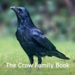 Crow Family Book