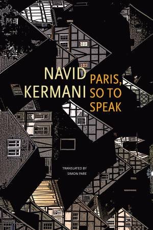 Paris, So to Speak by Navid Kermani & Wieland Hoban