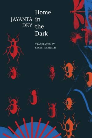 Home in the Dark by Jayanta Dey & Sayari Debnath