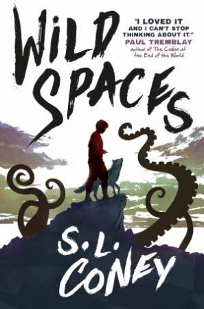 Wild Spaces by S. L. Coney