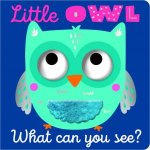 What Can You See Little Owl