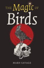 The Magic Of Birds