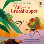 The Ant And The Grasshopper