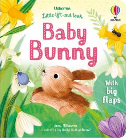 Little Lift And Look Baby Bunny by Anna Milbourne