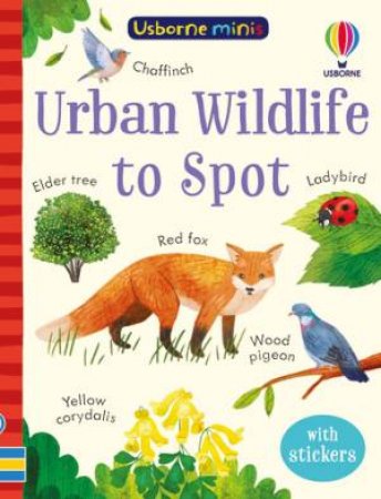 Urban Wildlife to Spot by Kate Nolan