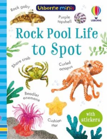 Rock Pool Life to Spot by Simon Tudhope & Stephanie Fizer Coleman & David Kurtz Williams