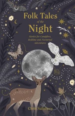 Folk Tales of the Night: Stories for Campfires, Bedtime and Nocturnal Adventures by CHRIS SALISBURY