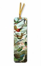 Bookmarks Ernst Haeckel Hummingbirds pack of 10